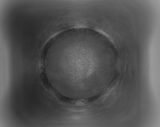 X0000101711255200807171529