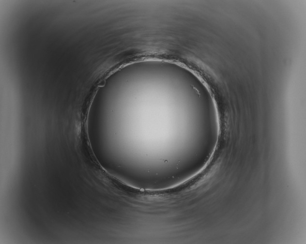 X0000101711257200807171528