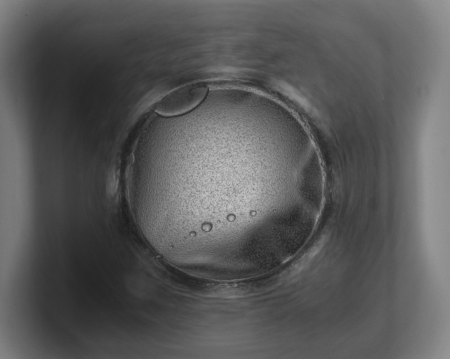 X0000101711259200807171528
