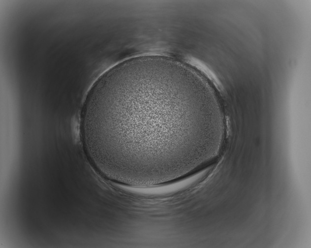 X0000101711260200807171528