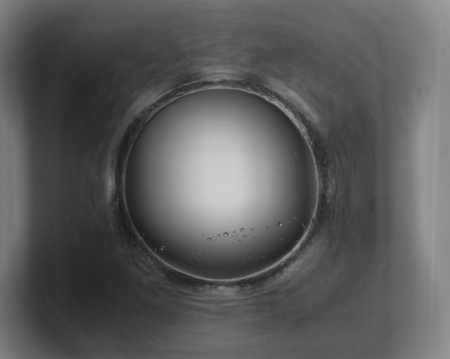 X0000101711261200807171528