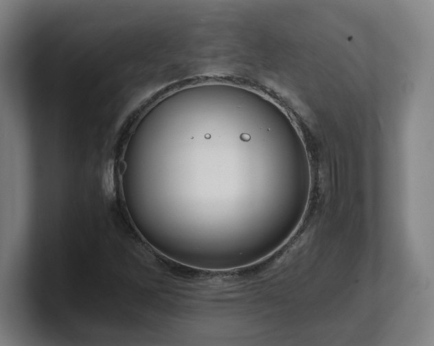 X0000101711262200807171528