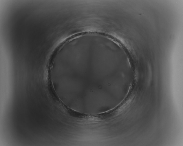 X0000101711263200807171528