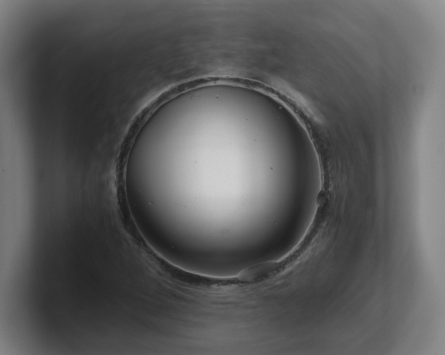 X0000101711264200807171528