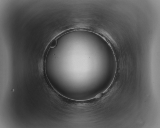 X0000101711268200807171528