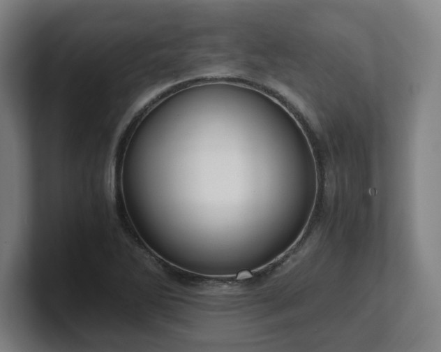 X0000101711270200807171528