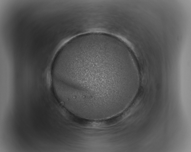 X0000101711271200807171528