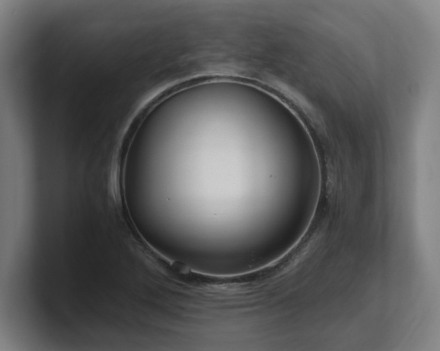 X0000101711272200807171528