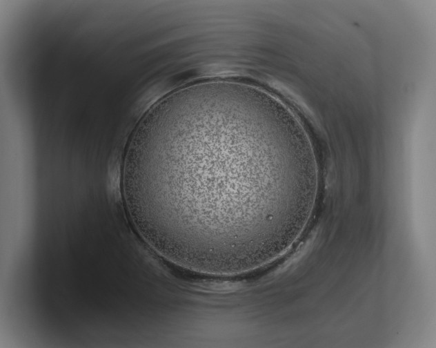 X0000101711273200807171528