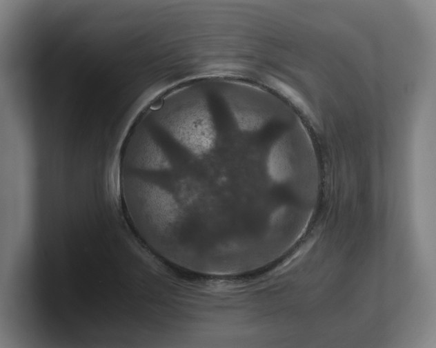 X0000101711275200807171528