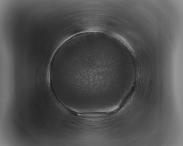 X0000101711276200807171528