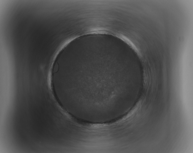 X0000101711277200807171528