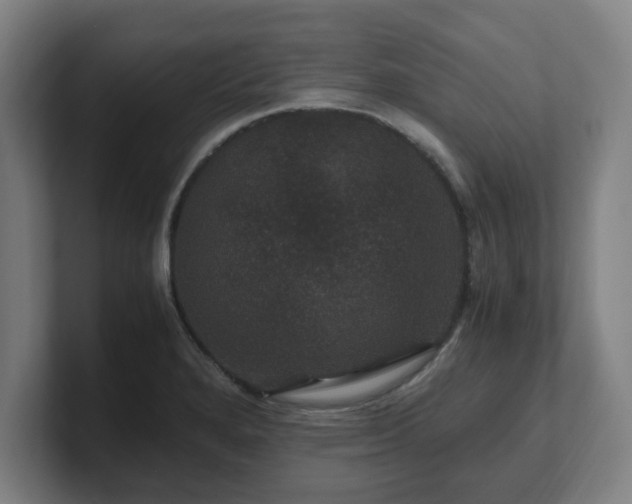 X0000101711280200807171528