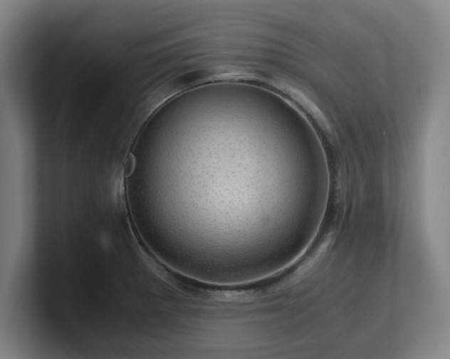 X0000101711281200807171528