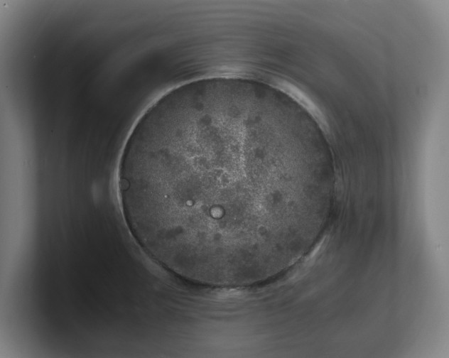 X0000101711283200807171528