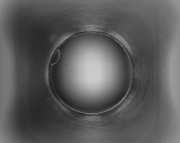 X0000101711285200807171528