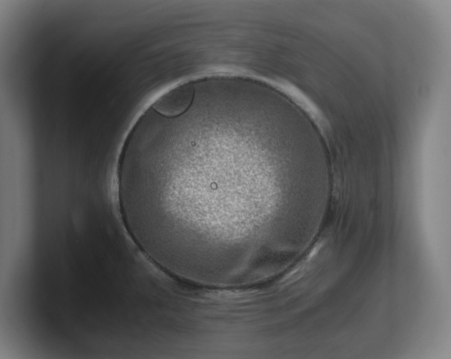 X0000101711287200807171528
