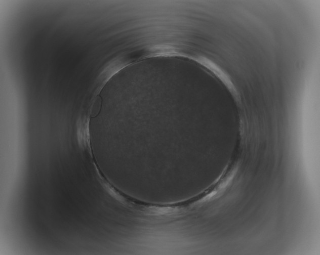 X0000101711289200807171528