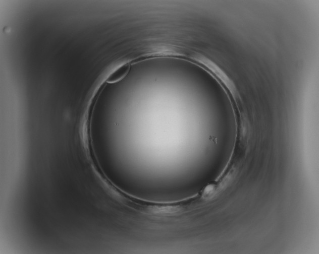 X0000101711293200807171528