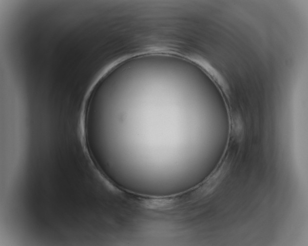 X0000101711294200807171528