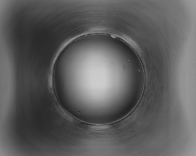 X0000101711296200807171528