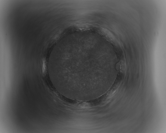 X0000101711298200807171527