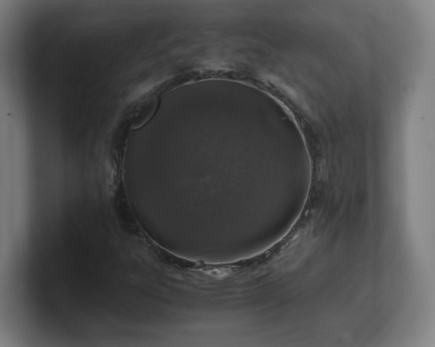 X0000101711303200807171527