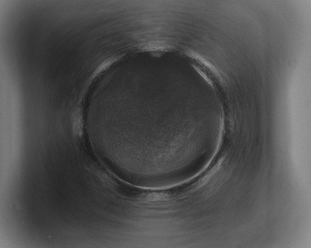 X0000101711306200807171527