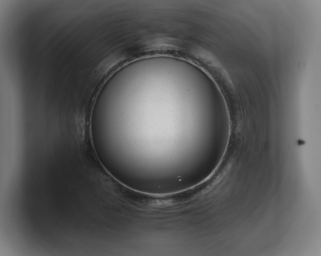 X0000101711313200807171527