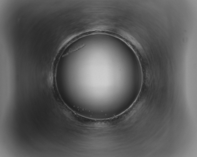X0000101711316200807171527
