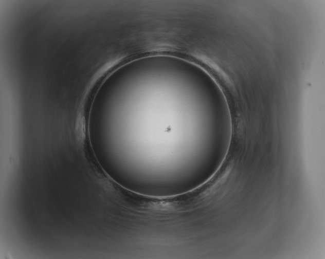 X0000101711317200807171528