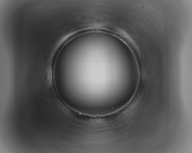 X0000101711320200807171528
