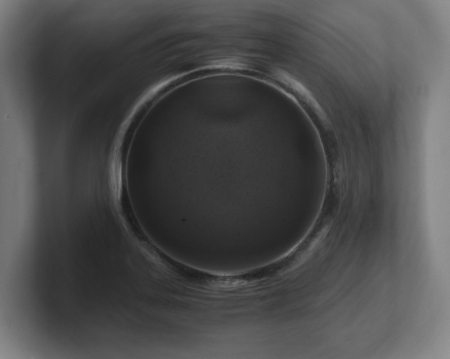 X0000101711323200807171528