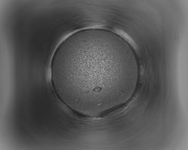 X0000101711324200807171528