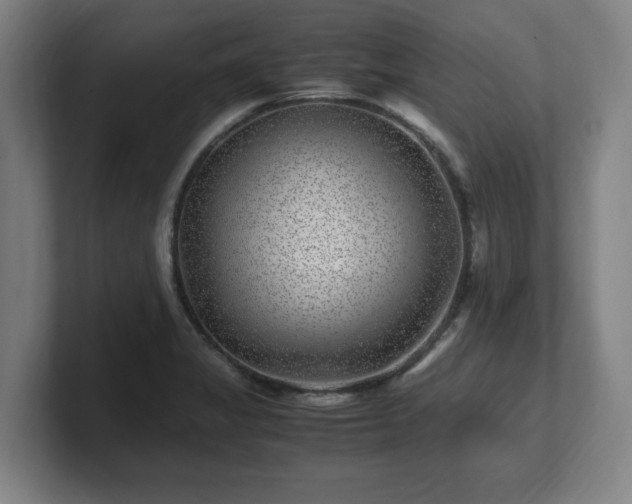 X0000101711325200807171528