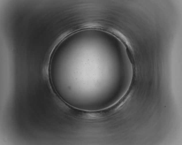 X0000101711330200807171528