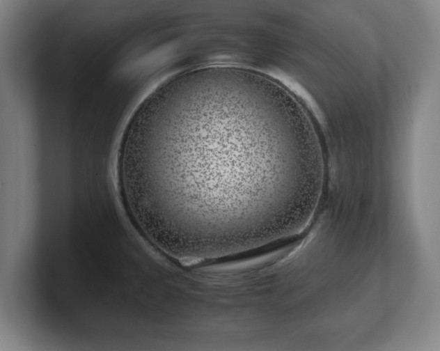 X0000101711333200807171528