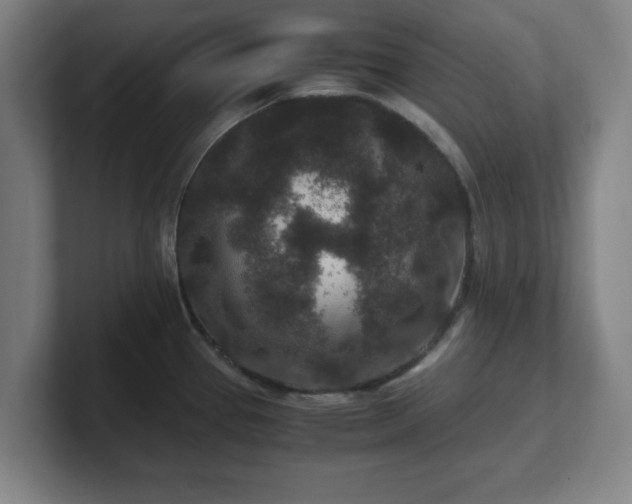 X0000101711337200807171528