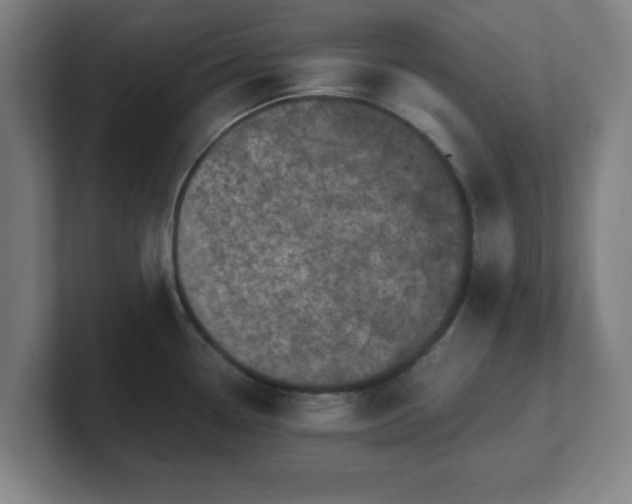 X0000101711338200807171528