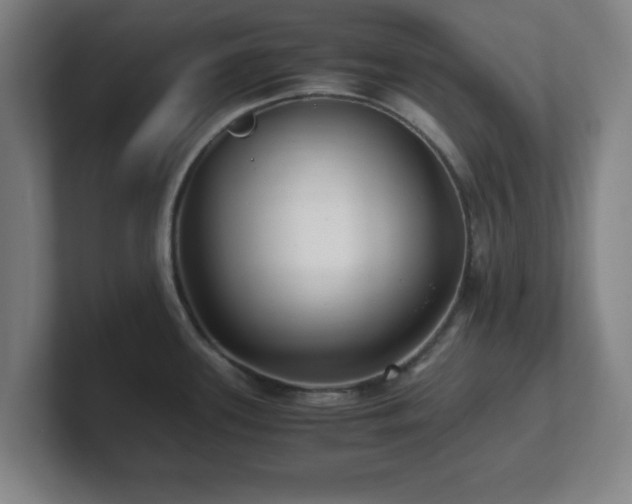 X0000101711339200807171528