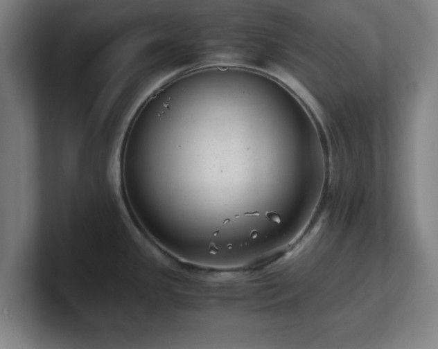 X0000101711341200807171528