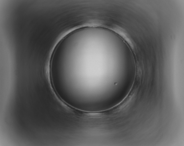 X0000101711343200807171528