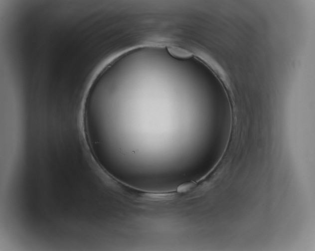 X0000101711344200807171528