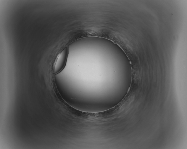 X0000101711345200807171527