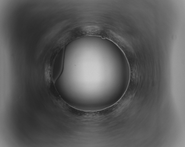 X0000101711346200807171527