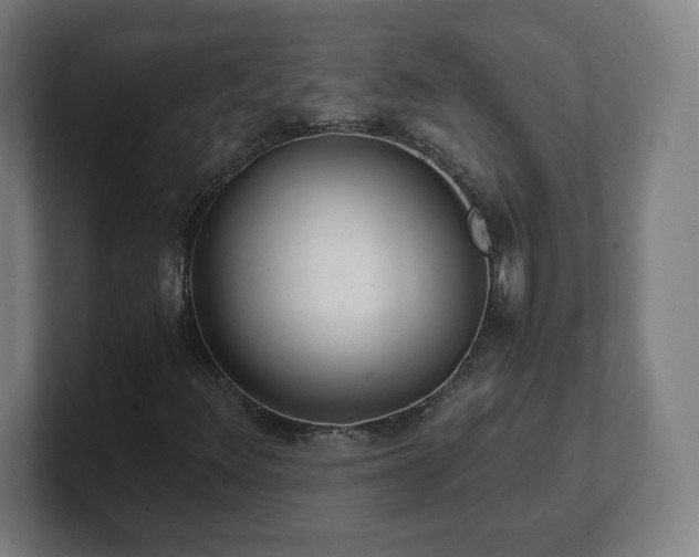 X0000101711348200807171527