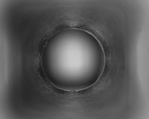 X0000101711349200807171527