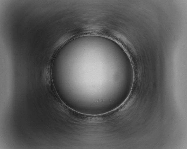 X0000101711354200807171527