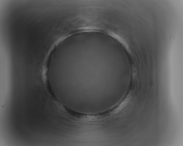 X0000101711357200807171527