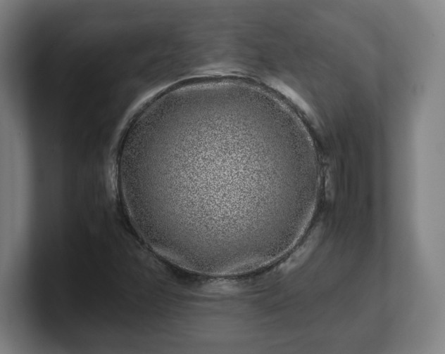 X0000101711358200807171527